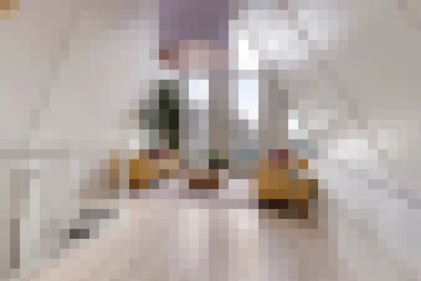 Spirealaan 21 Rosmalen thumbnail 26