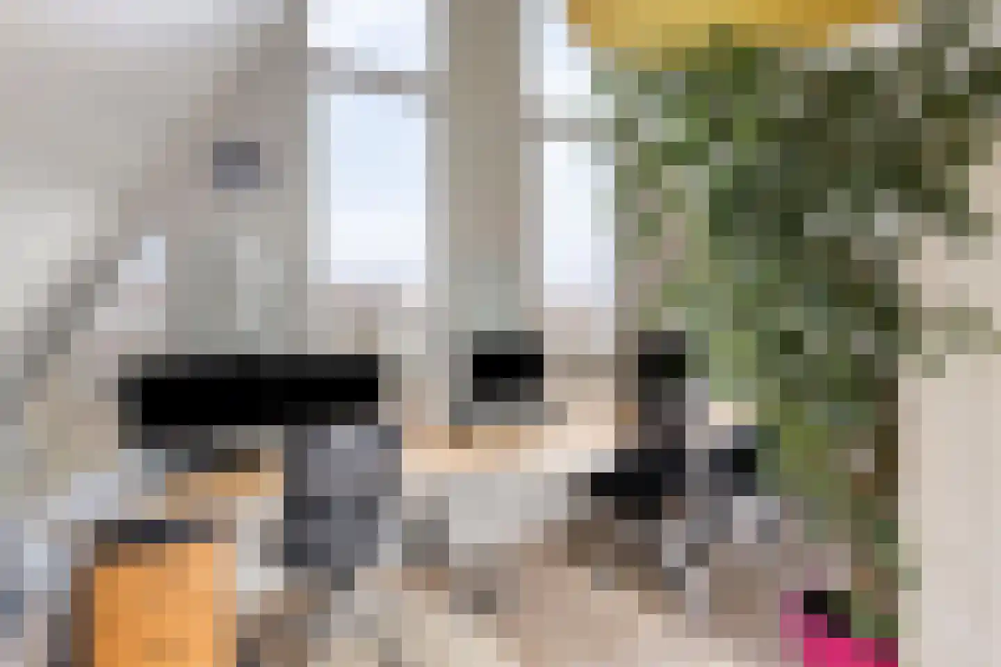 Spirealaan 21 Rosmalen thumbnail 30