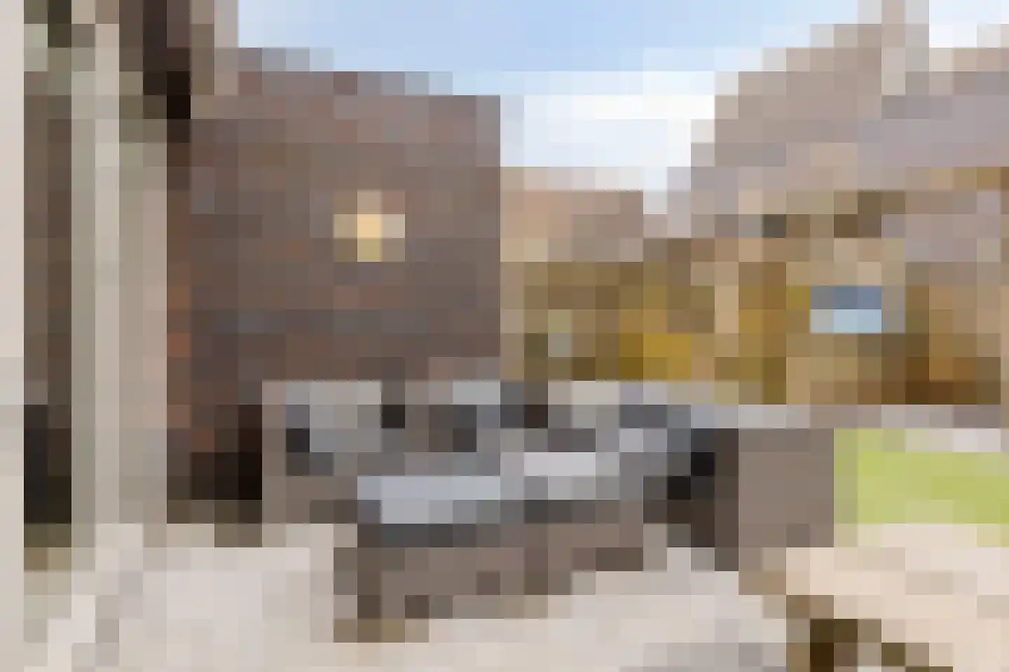 Spirealaan 21 Rosmalen thumbnail 39