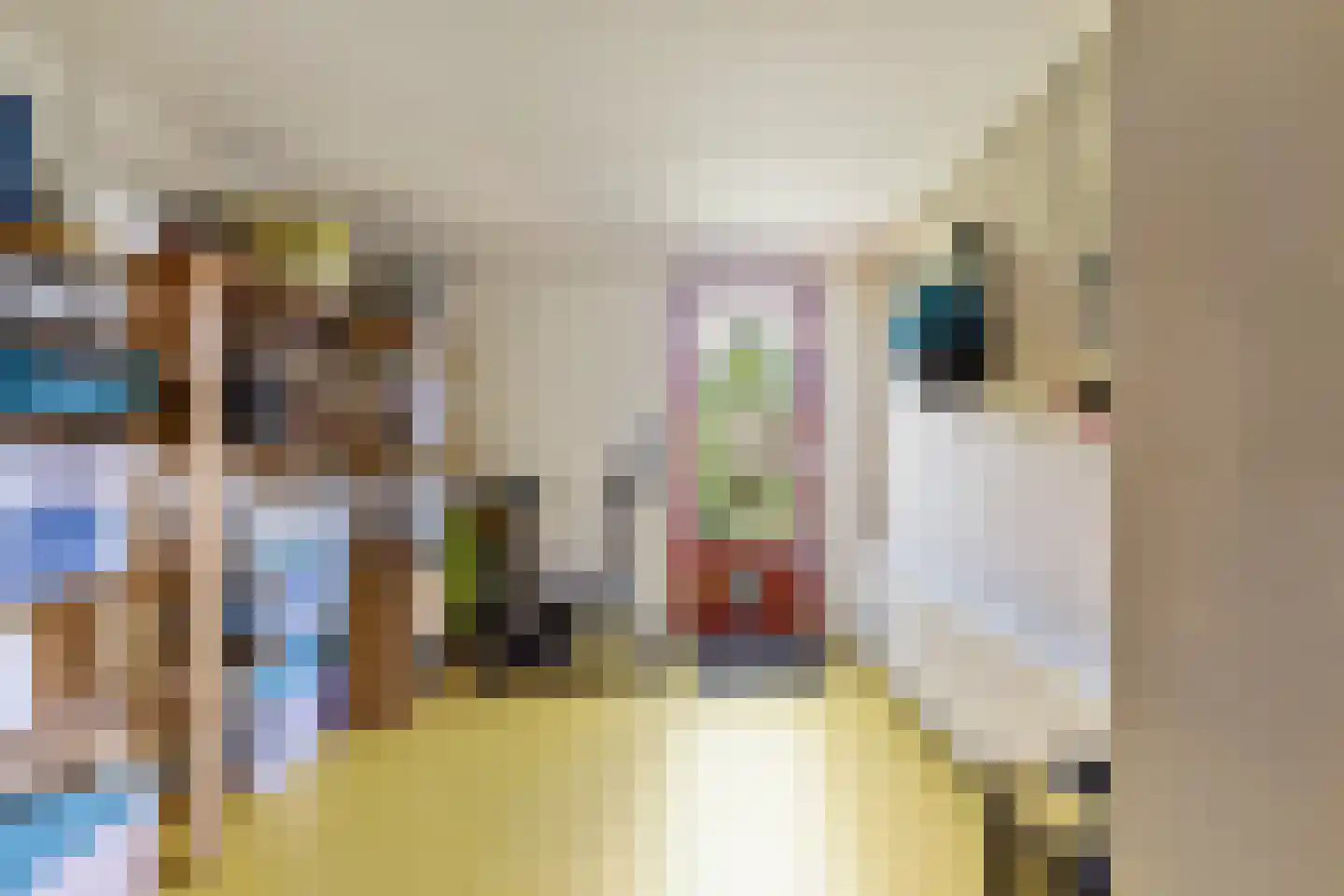 Spirealaan 27 Sint Pancras thumbnail 25