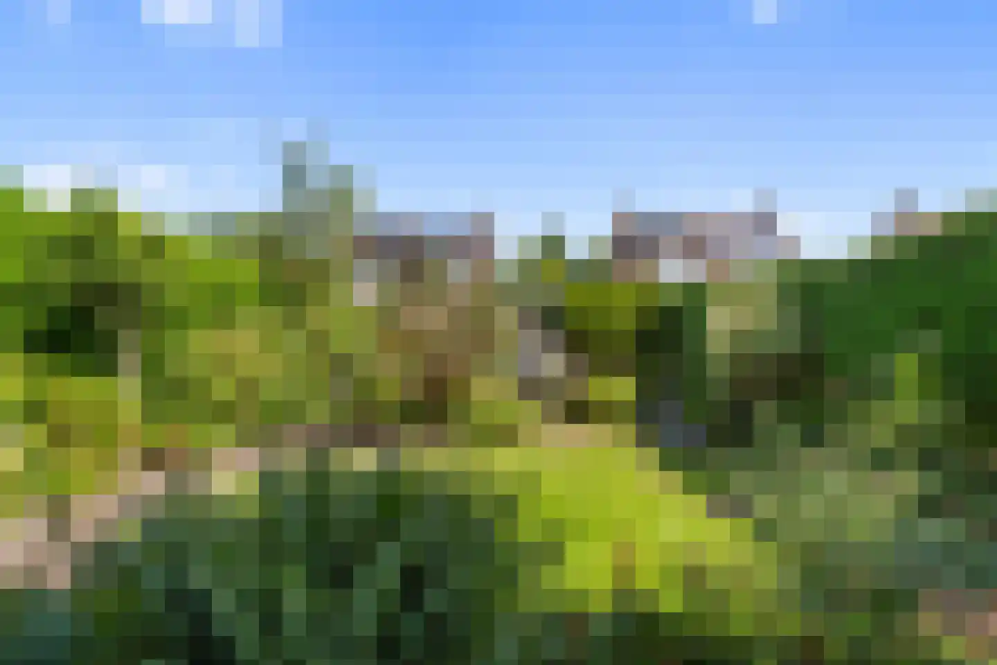 Spirealaan 27 Sint Pancras thumbnail 27
