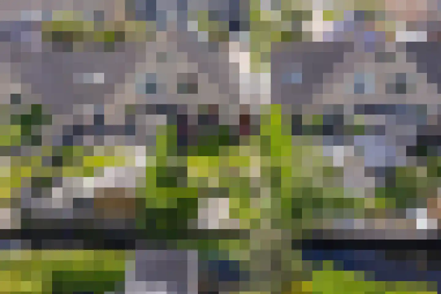 Spirealaan 27 Sint Pancras thumbnail 35