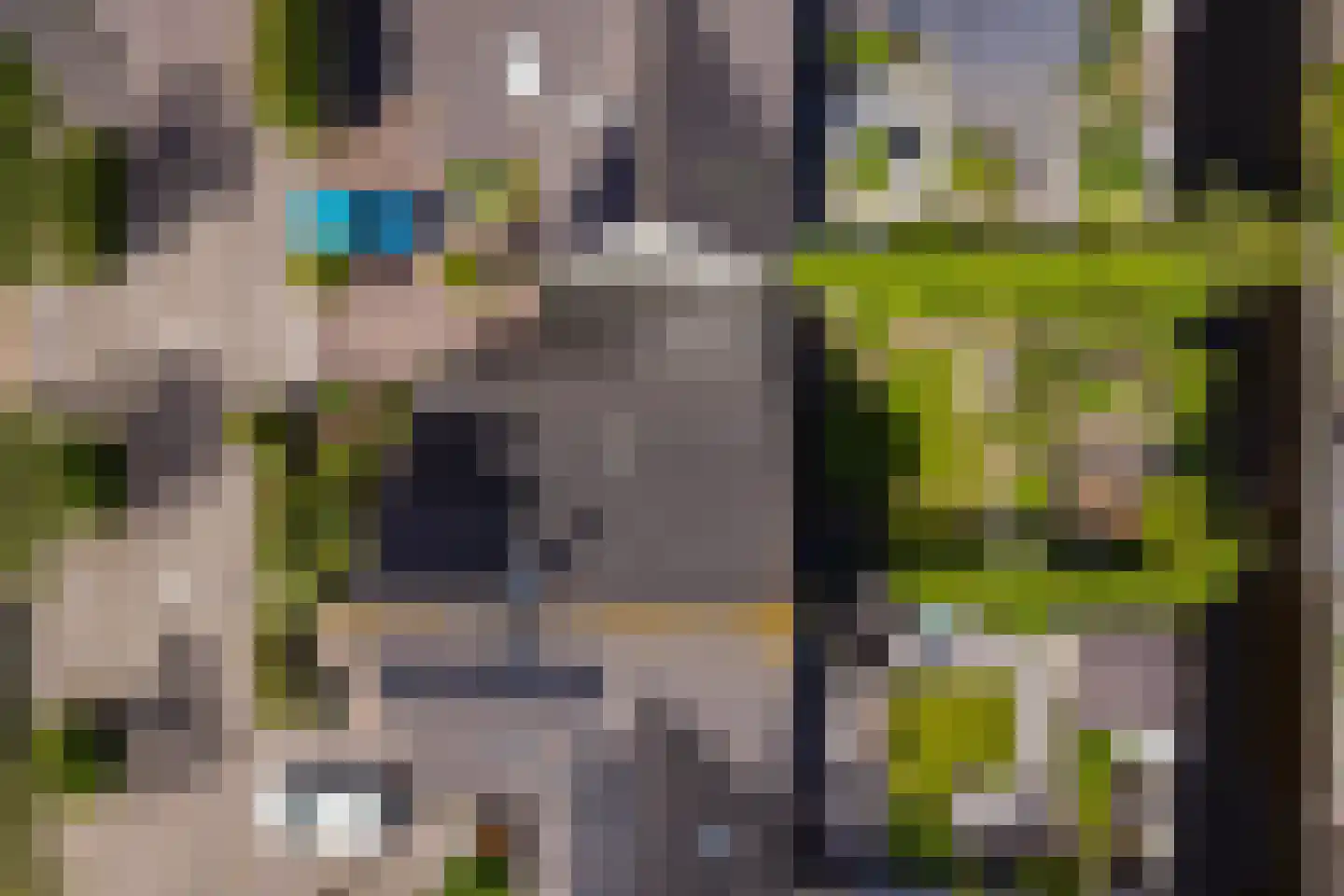 Spirealaan 27 Sint Pancras thumbnail 36