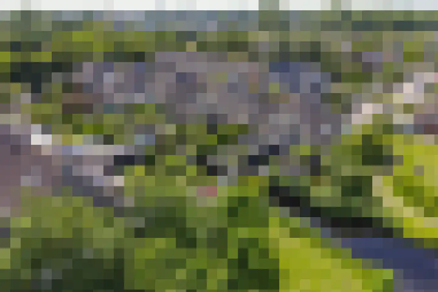 Spirealaan 27 Sint Pancras thumbnail 37