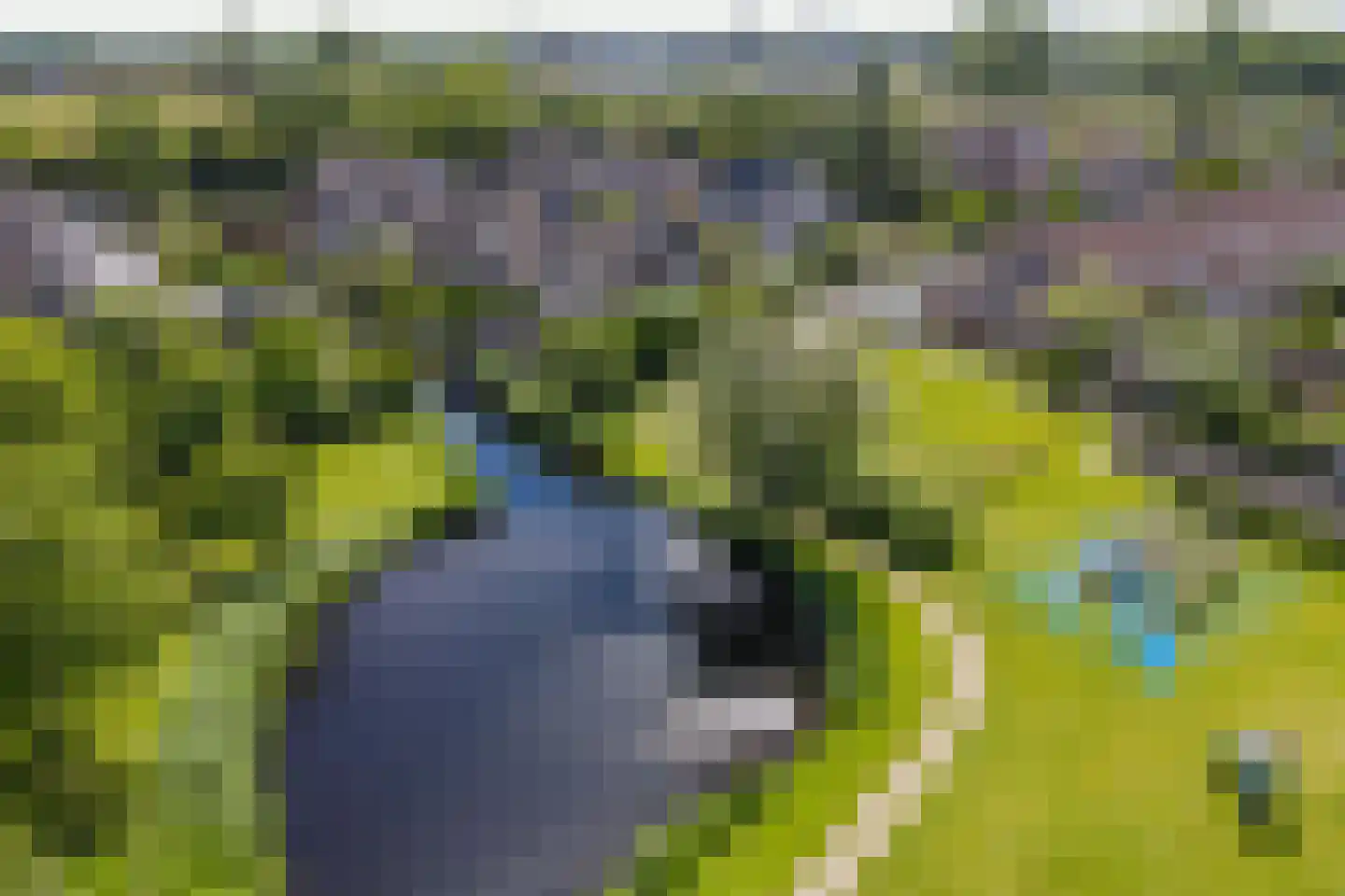 Spirealaan 27 Sint Pancras thumbnail 38