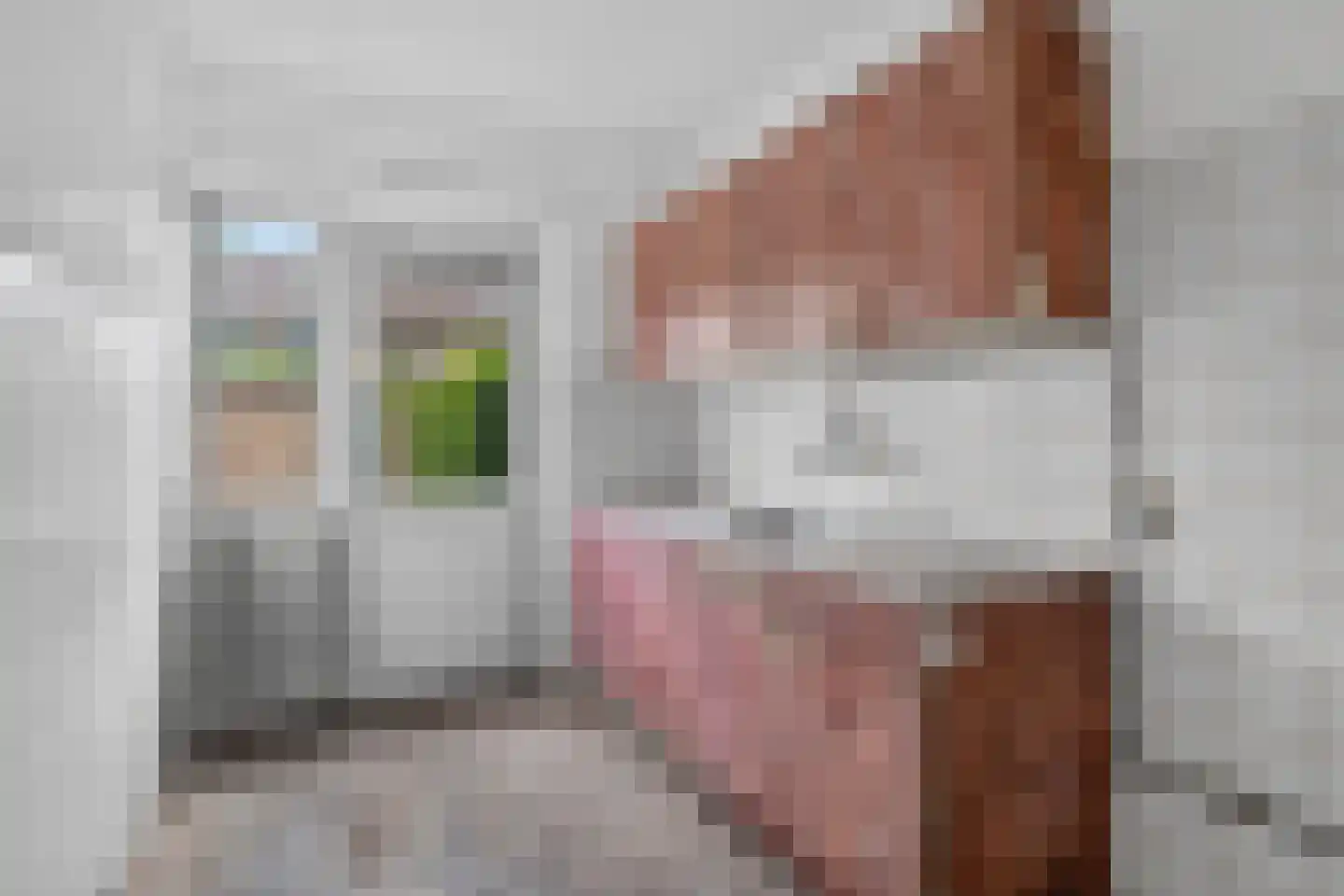 Spirealaan 31 Waalre thumbnail 6