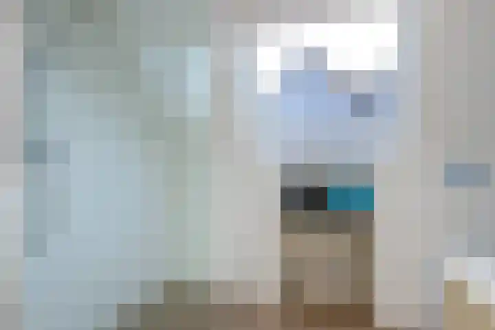 Spirealaan 37 Sint Pancras thumbnail 18