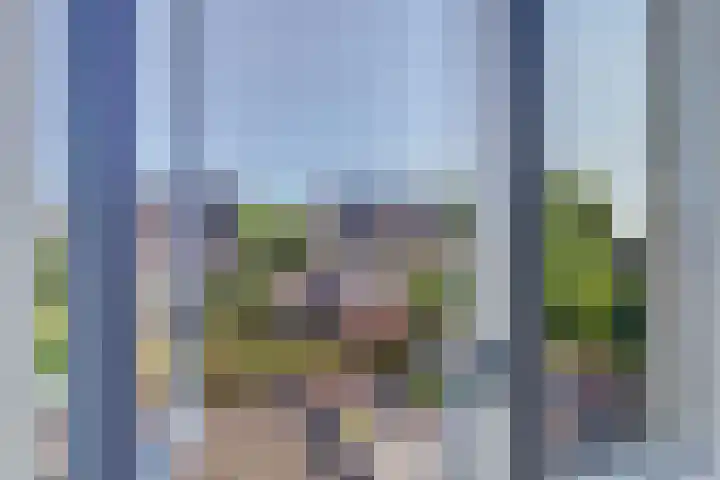 Spirealaan 37 Sint Pancras thumbnail 22