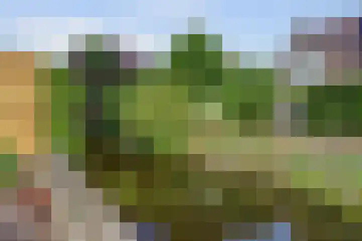 Spirealaan 37 Sint Pancras thumbnail 33