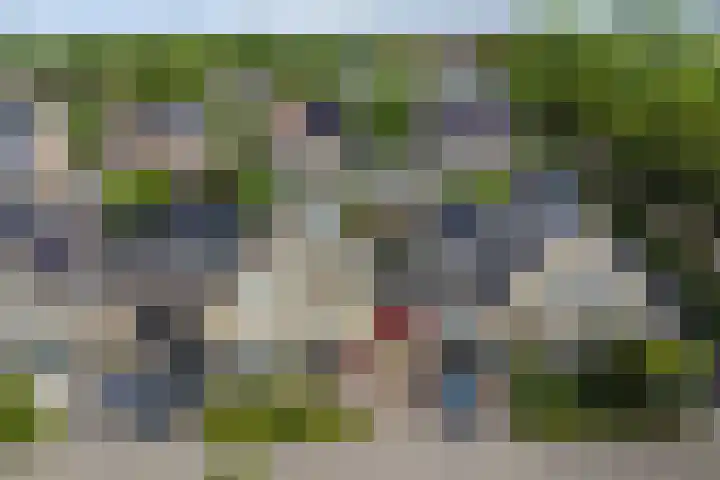 Spirealaan 37 Sint Pancras thumbnail 37