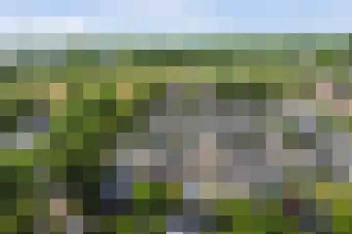 Spirealaan 37 Sint Pancras thumbnail 38