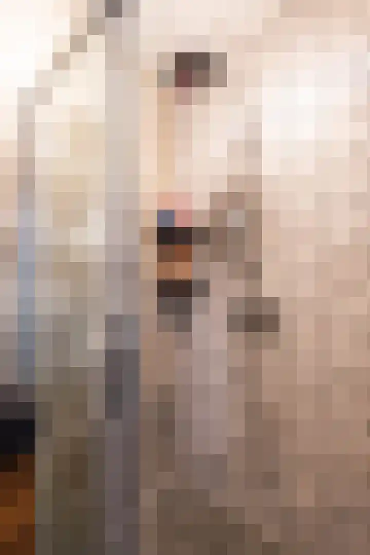 Spirealaan 4 Groningen thumbnail 19