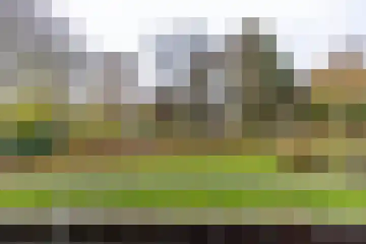 Spirealaan 4 Groningen thumbnail 24