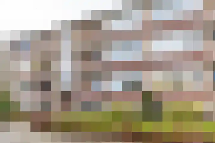 Spirealaan 4 Groningen thumbnail 4