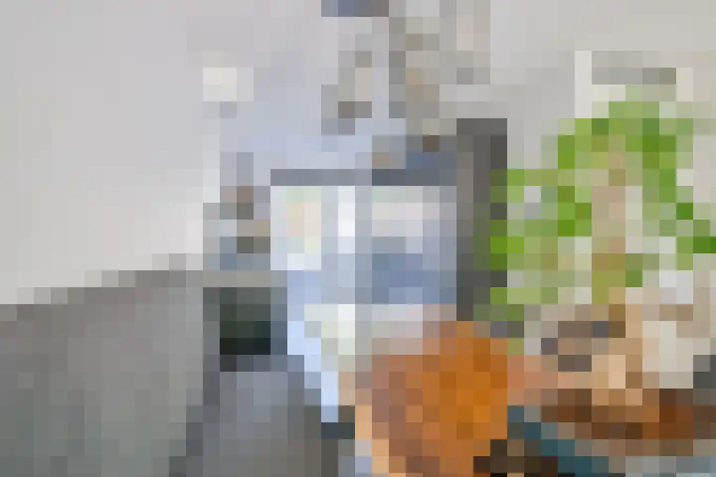 Spirealaan 46 Heerhugowaard thumbnail 12