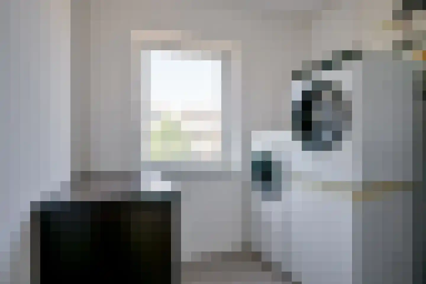 Spirealaan 46 Heerhugowaard thumbnail 31