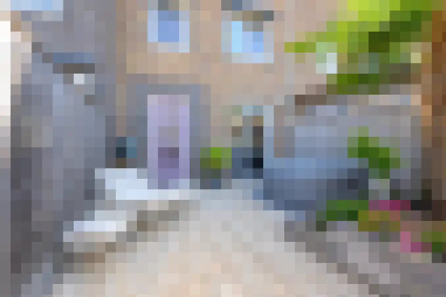 Spirealaan 46 Heerhugowaard thumbnail 8