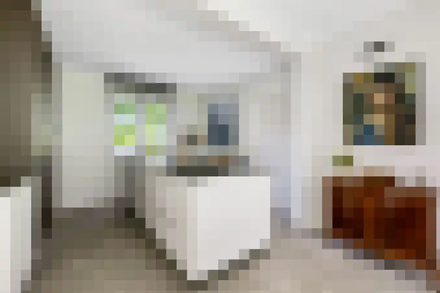 Spirealaan 49 Waalre thumbnail 15