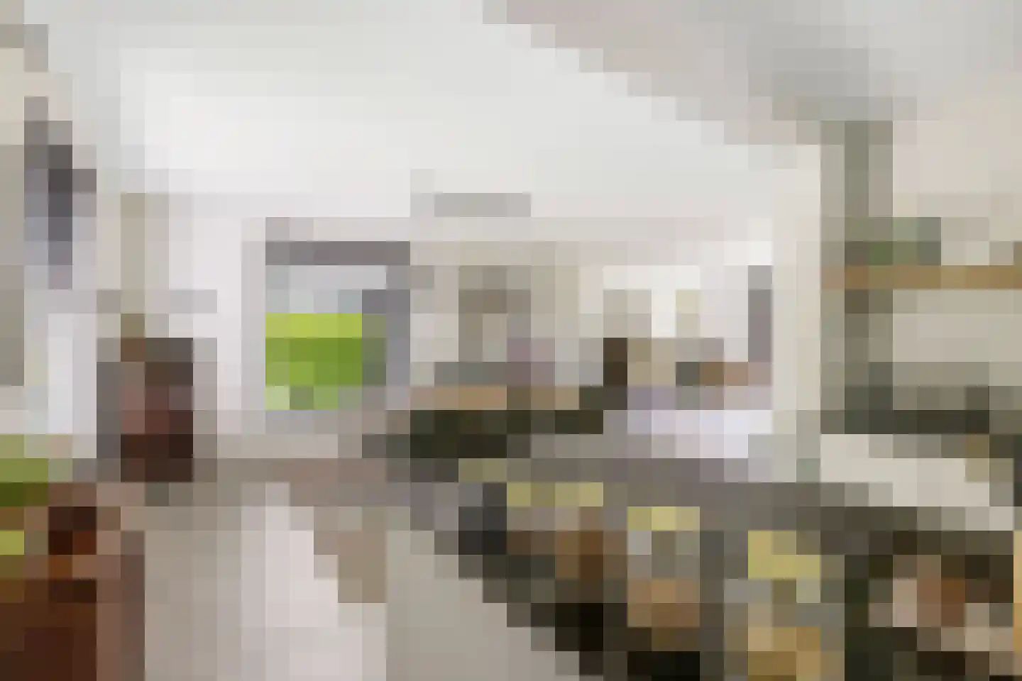 Spirealaan 49 Waalre thumbnail 16