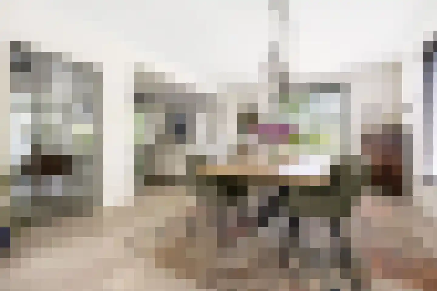 Spirealaan 49 Waalre foto 2