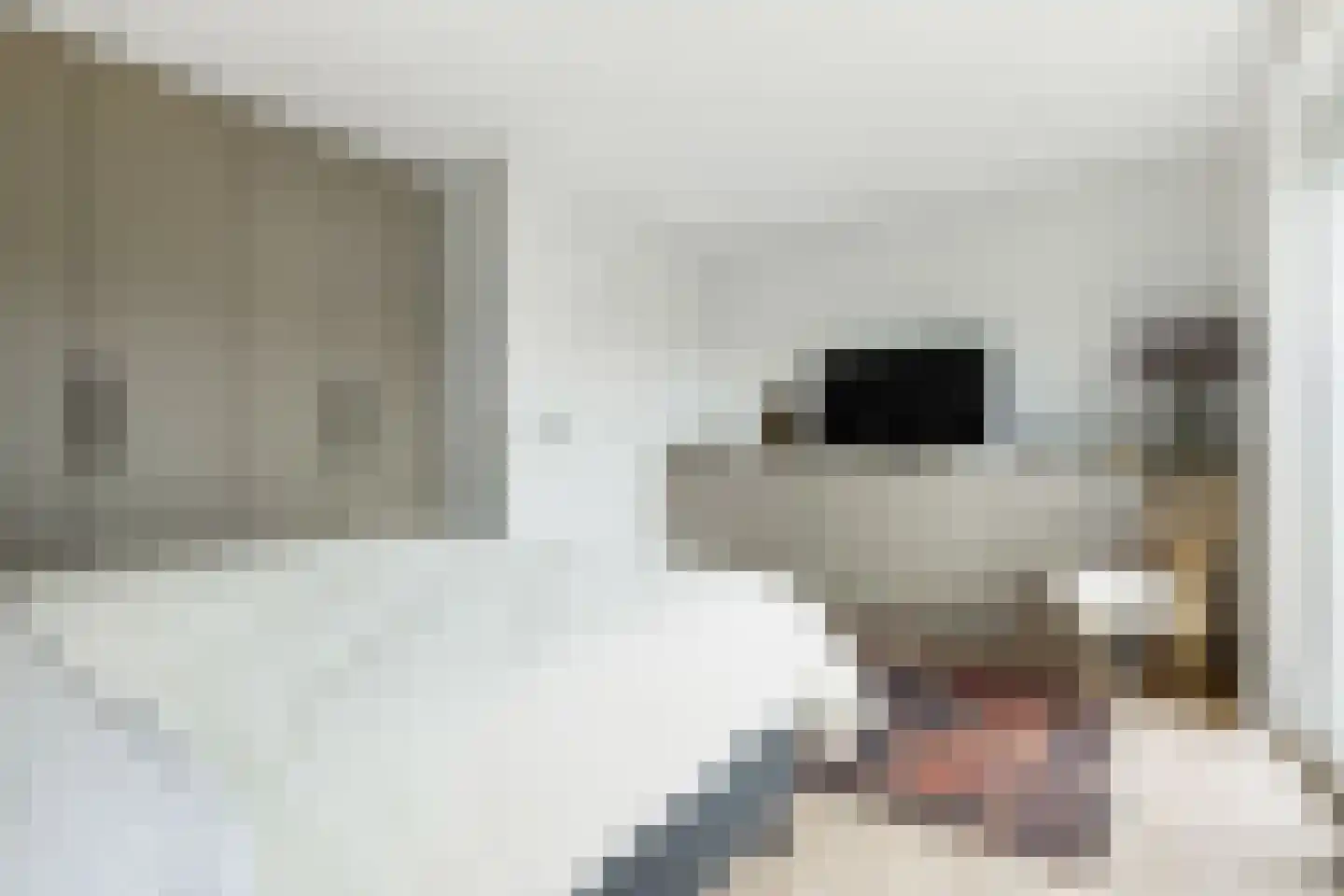 Spirealaan 49 Waalre thumbnail 23