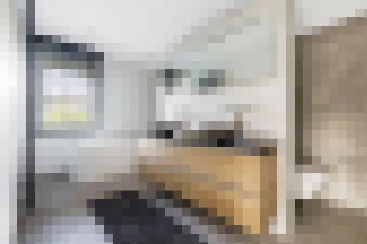 Spirealaan 49 Waalre thumbnail 24