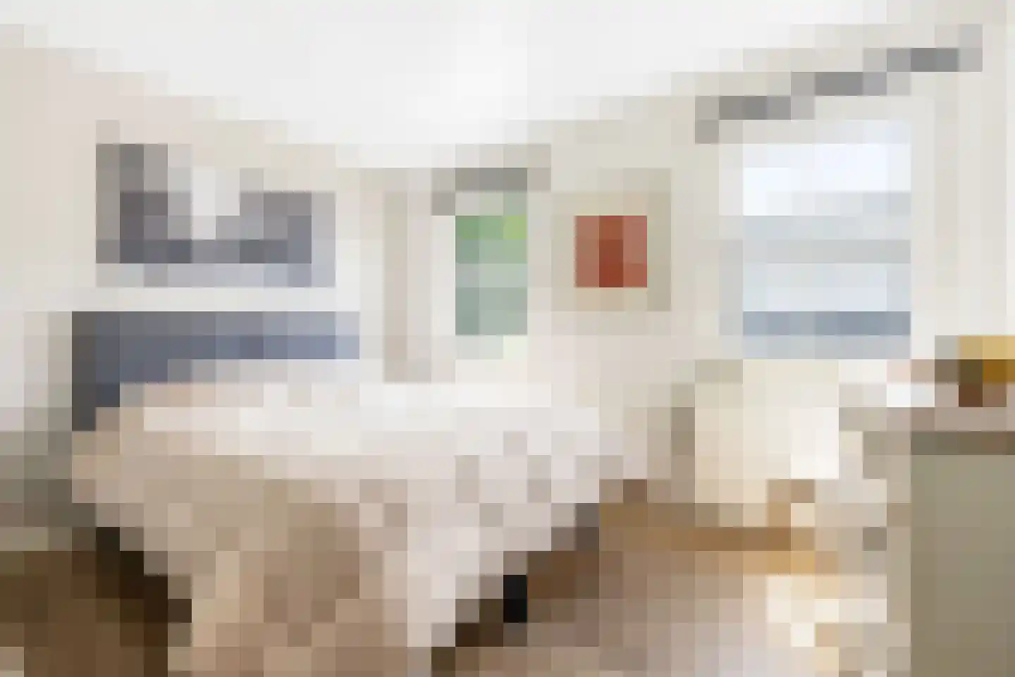 Spirealaan 49 Waalre thumbnail 25