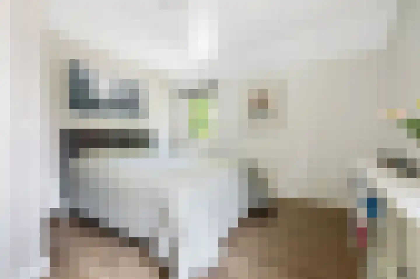 Spirealaan 49 Waalre thumbnail 28