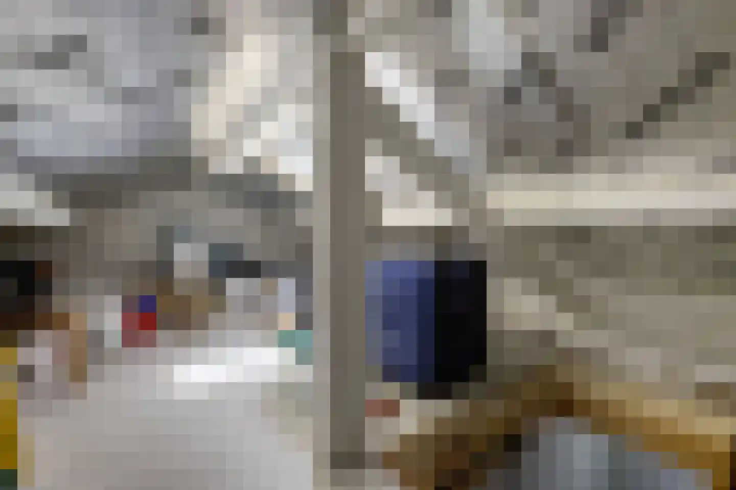 Spirealaan 49 Waalre thumbnail 31
