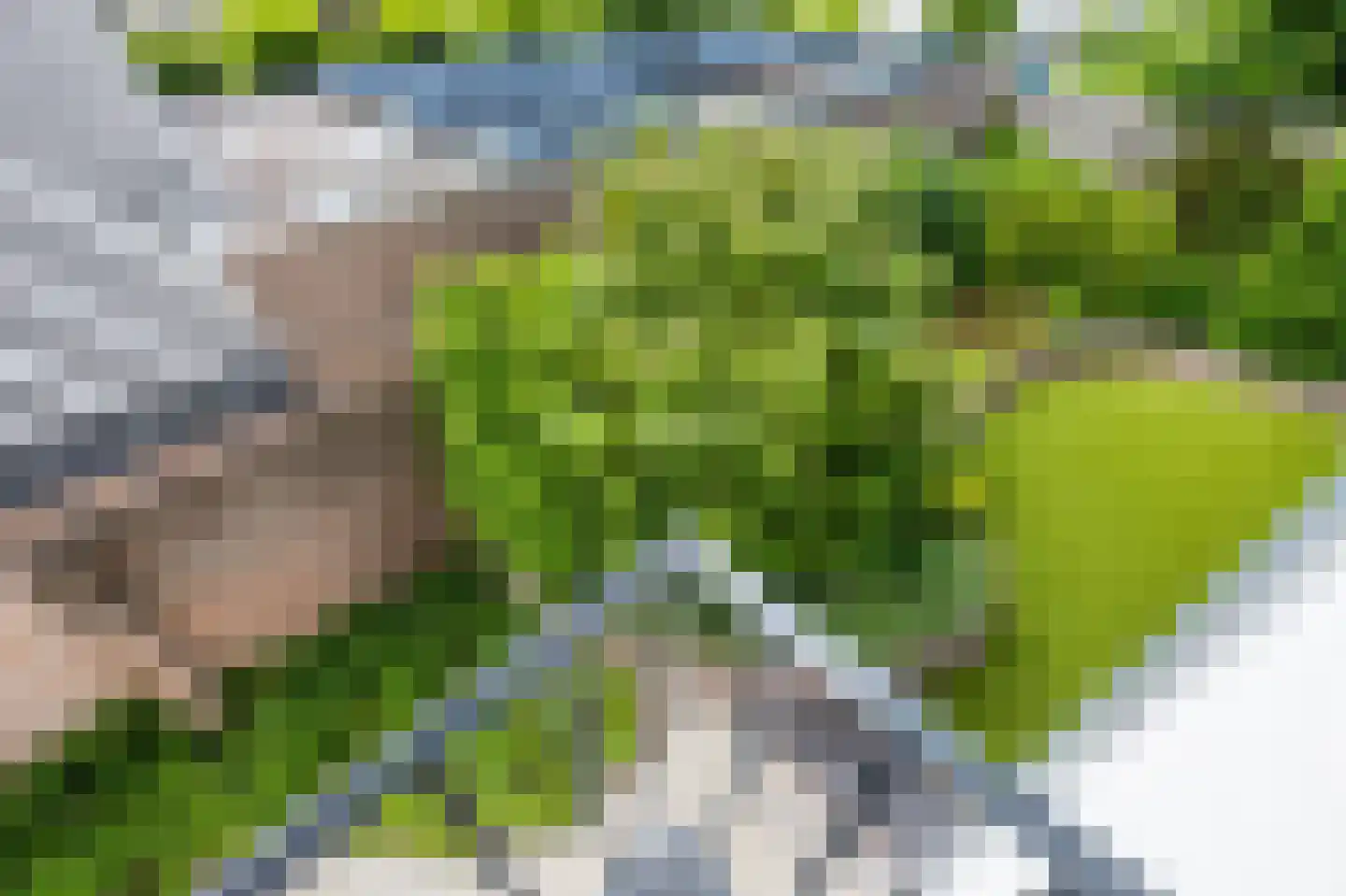 Spirealaan 49 Waalre thumbnail 33