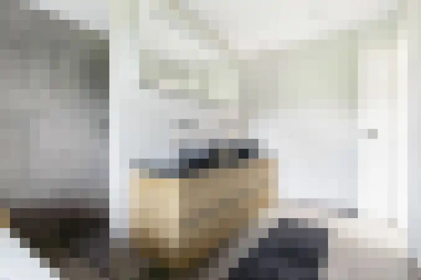 Spirealaan 49 Waalre thumbnail 4