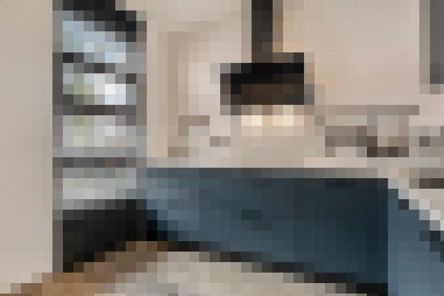 Spirealaan 5 Rosmalen thumbnail 10