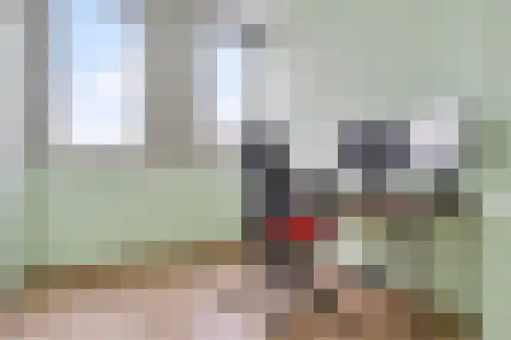 Spirealaan 5 Rosmalen thumbnail 22