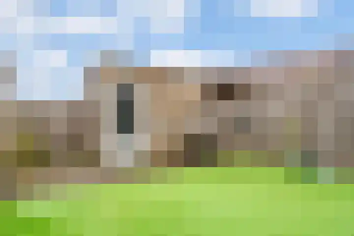 Spirealaan 5 Rosmalen thumbnail 34