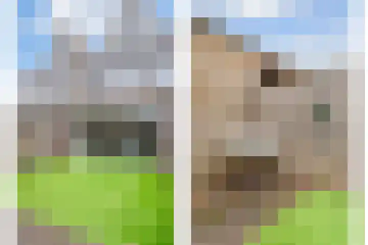 Spirealaan 5 Rosmalen thumbnail 36