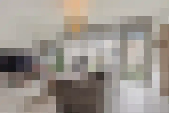 Spirealaan 5 Rosmalen thumbnail 4