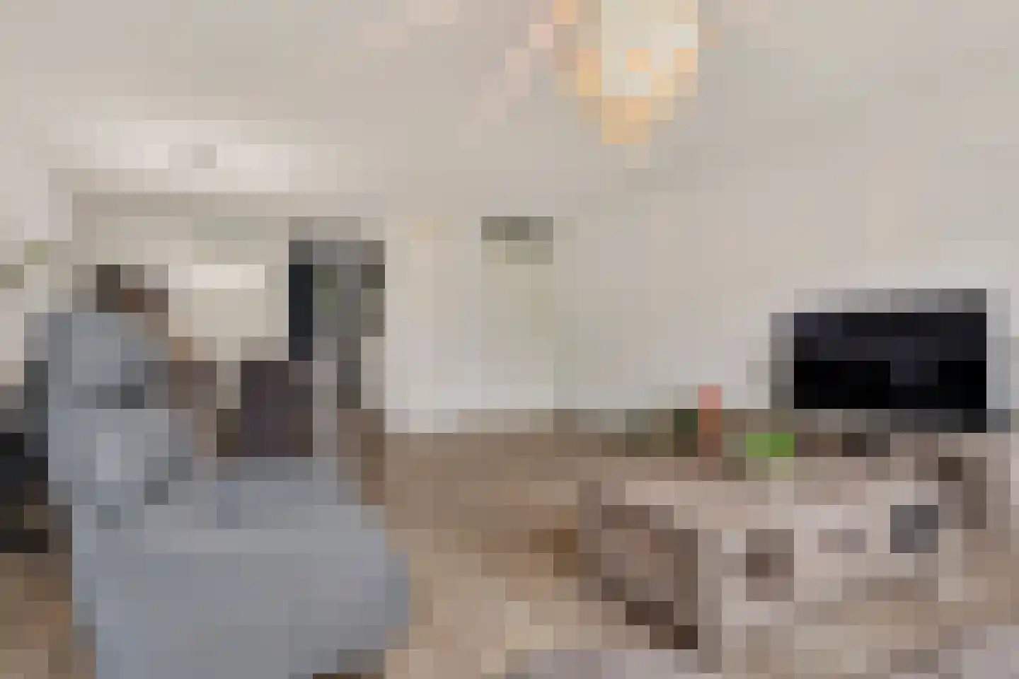 Spirealaan 5 Rosmalen thumbnail 5