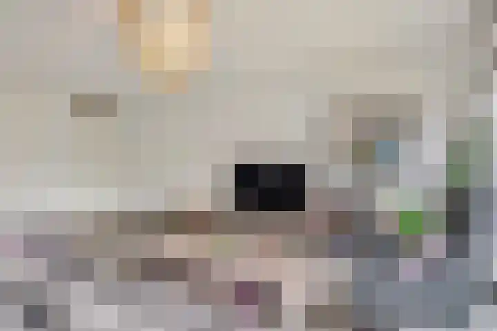 Spirealaan 5 Rosmalen thumbnail 6