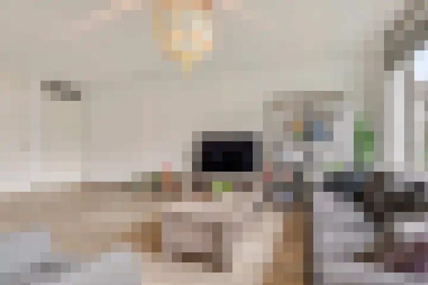 Spirealaan 5 Rosmalen thumbnail 7