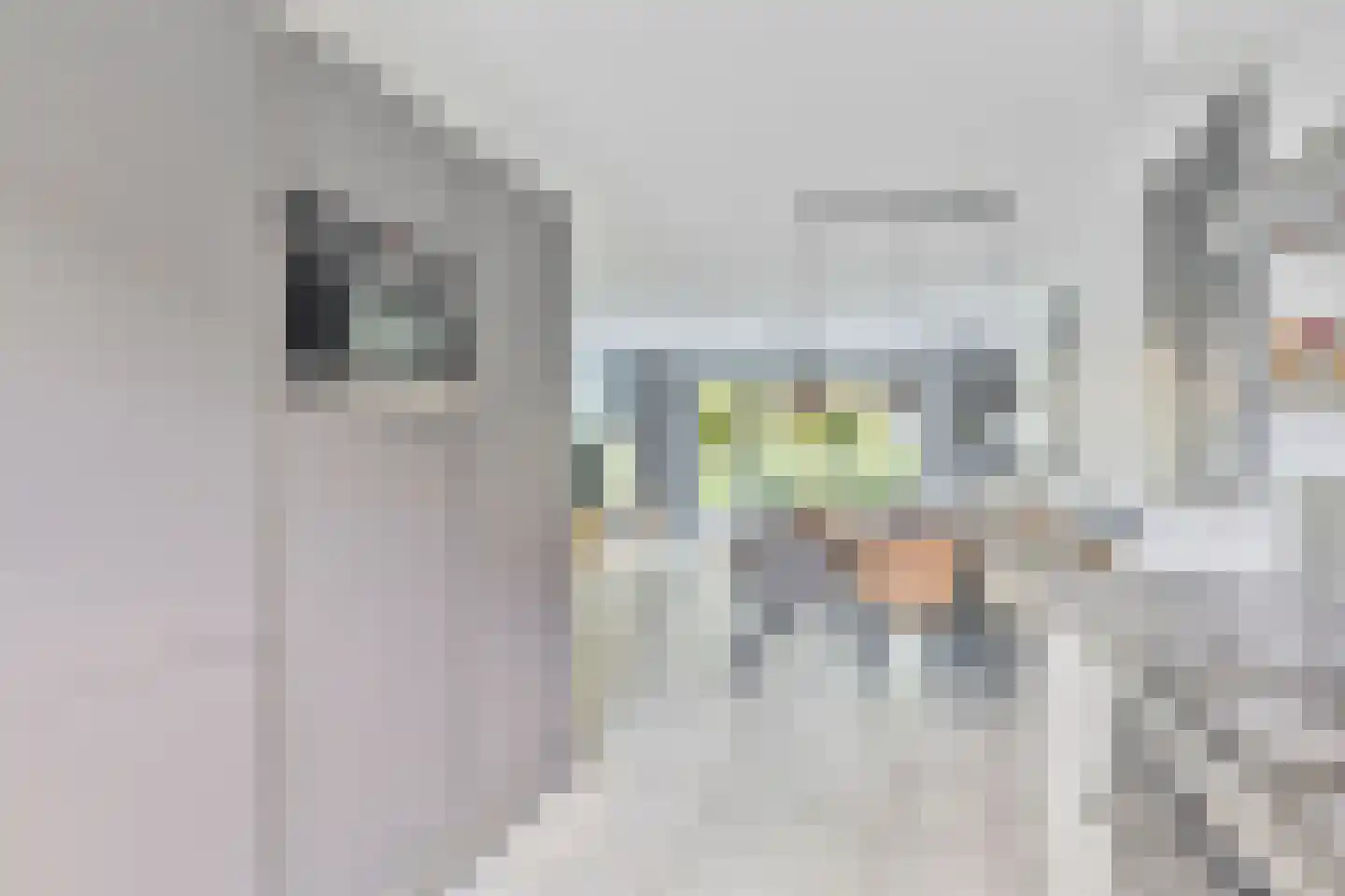 Spirealaan 56 Heerhugowaard thumbnail 12