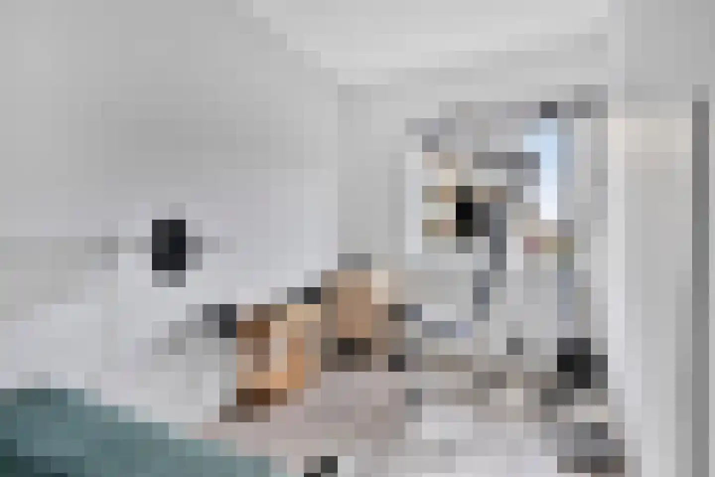 Spirealaan 56 Heerhugowaard thumbnail 18