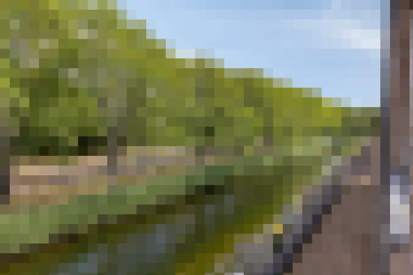 Spirealaan 56 Heerhugowaard thumbnail 28