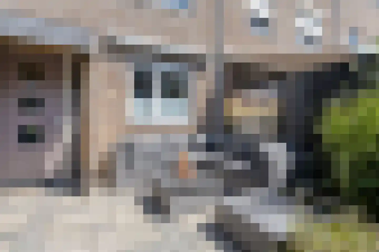 Spirealaan 56 Heerhugowaard thumbnail 32
