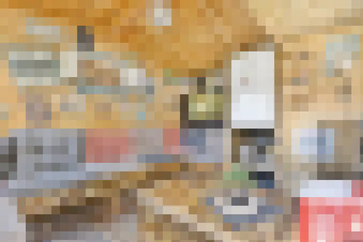 Spirealaan 56 Heerhugowaard thumbnail 36