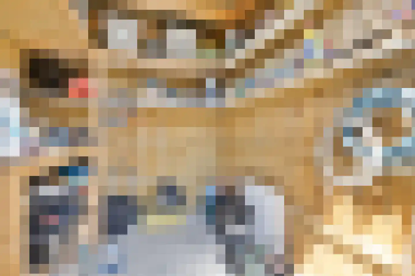Spirealaan 56 Heerhugowaard thumbnail 37