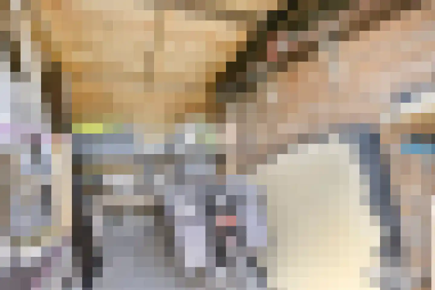Spirealaan 56 Heerhugowaard thumbnail 38