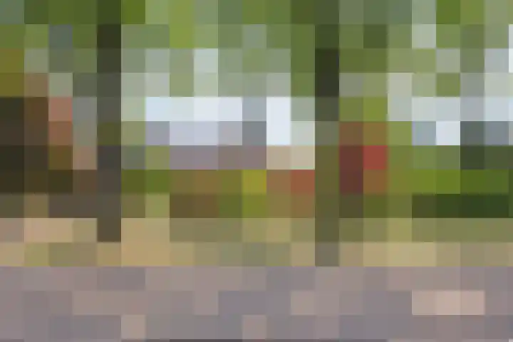 Spirealaan 6 Waalre