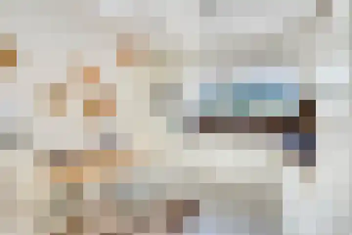Spirealaan 6 Waalre thumbnail 11