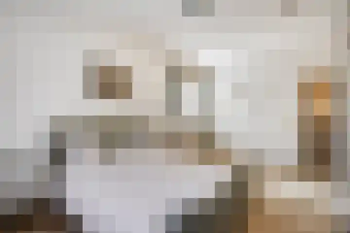 Spirealaan 6 Waalre thumbnail 14