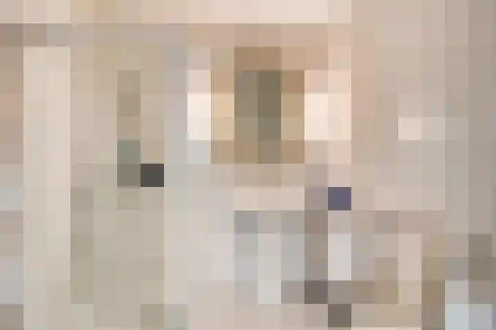 Spirealaan 6 Waalre thumbnail 15